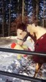 Un cheval joue dans la neige avec une peluche
