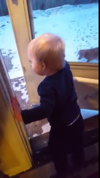 En langue de bébé cet enfant appelle les chiens et ça marche !