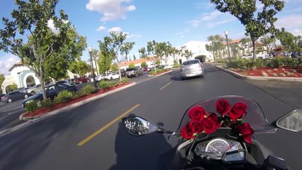 Ce motard donne des roses aux inconnus pour la Saint-Valentin !
