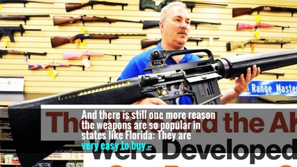 In Florida, an AR-15 Is Easier to Buy Than a Handgun