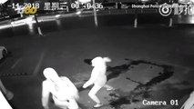 Watch This Robbery End Before It Began When One Robber Knocks The Other Unconscious