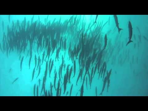 Going deep down under