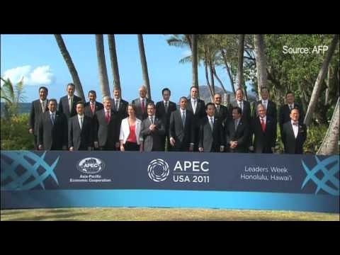 BJP pushing for IP policy in 6 months