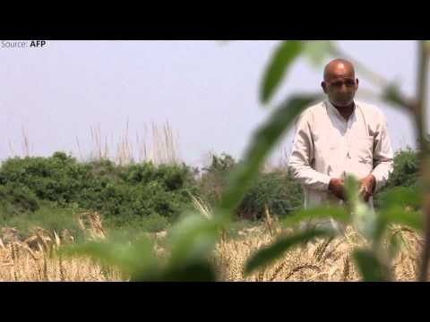 Monsoon likely to be below normal this year, says IMD