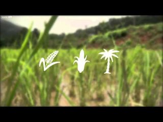 El Nino has emerged, Asia braces for crop damage