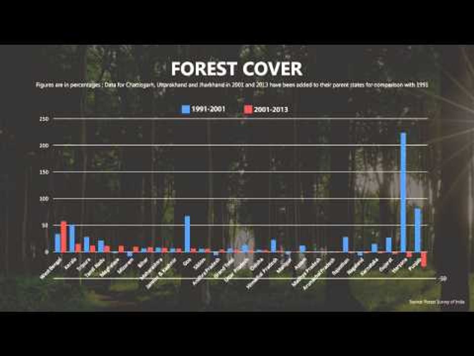 Will forest-based awards to states save the environment?