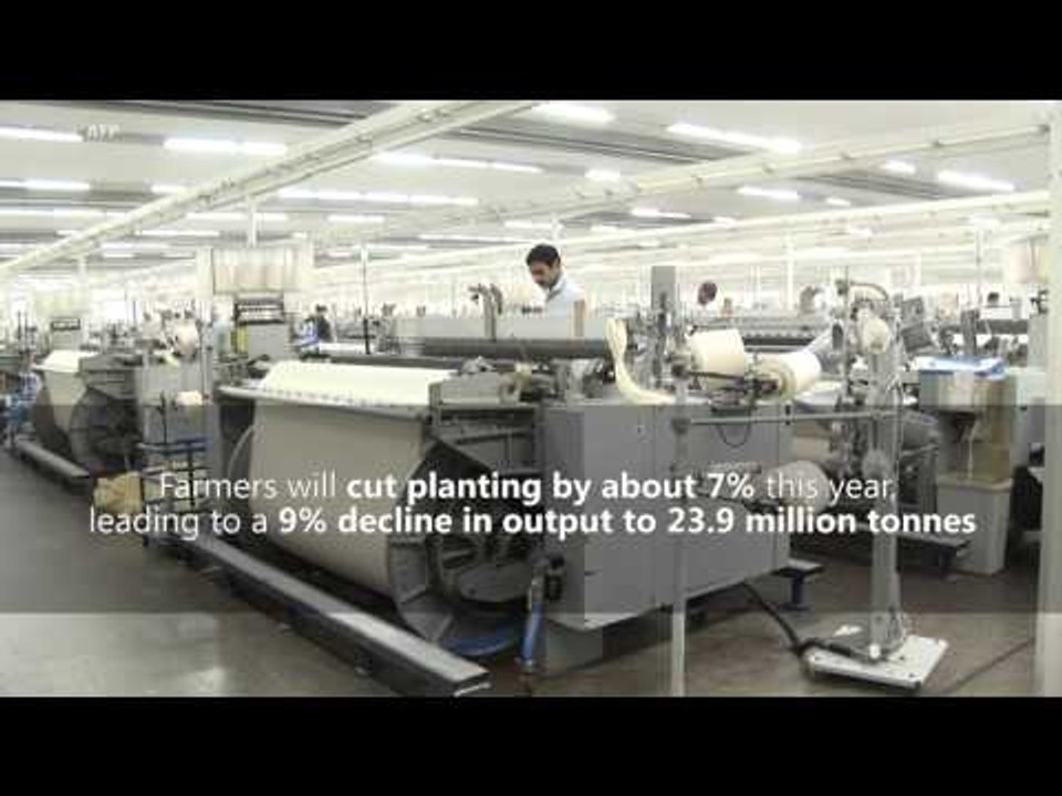 Cotton losing favour with Indian farmers as China buys less