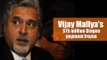 Vijay Mallya’s $75 million Diageo payment frozen