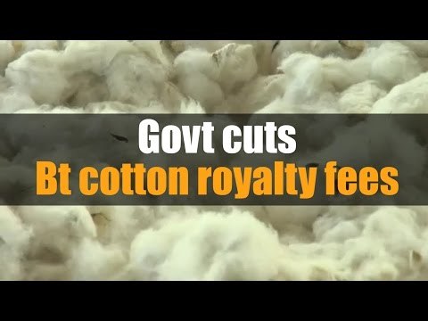 Govt cuts Bt cotton royalty fees by 74%