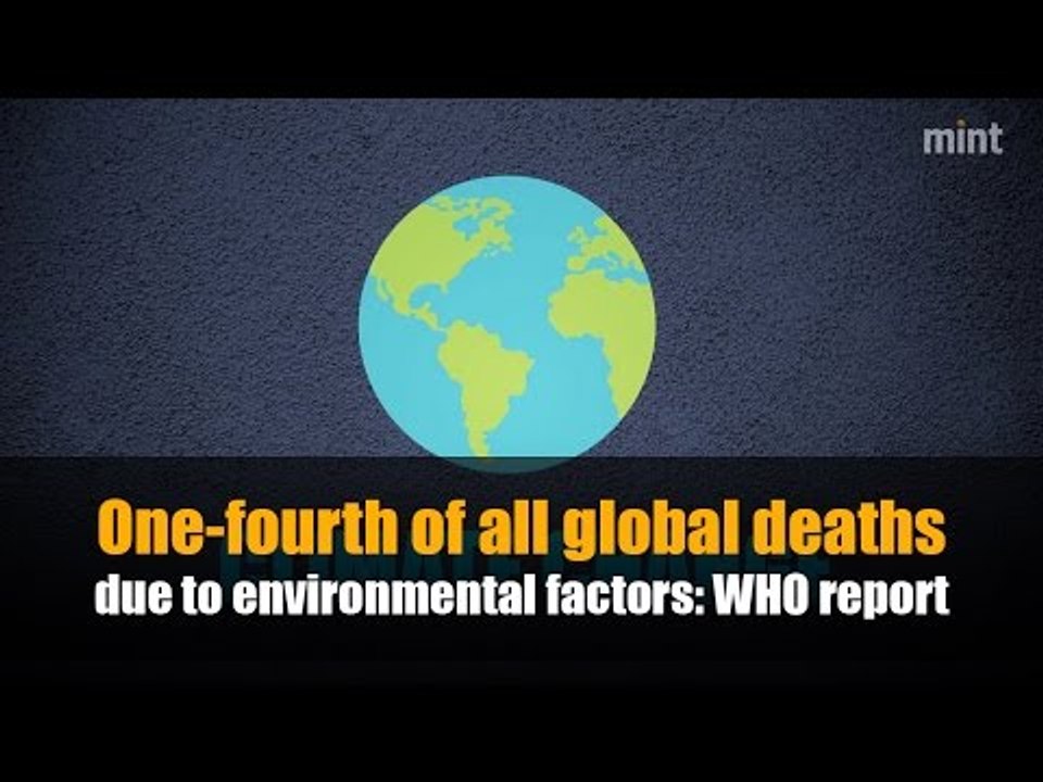 One-fourth of all global deaths due to environmental factors: WHO report