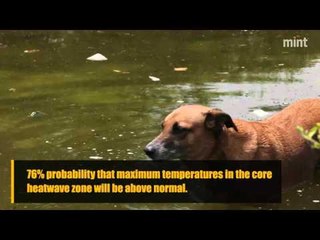 States under the heatwave zone