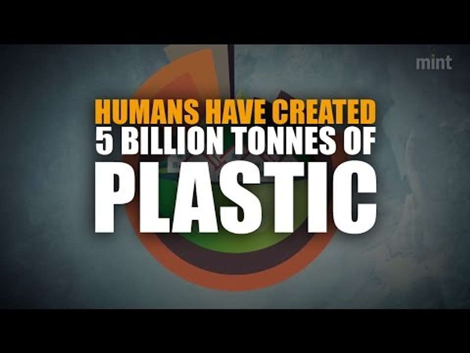 Humans have created 5 billion tonnes of plastic
