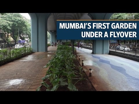 Matunga garden flyover faces teething troubles