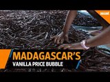 Madagascar rides vanilla price bubble