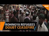 Rohingya refugees doubt peace of one month ceasefire