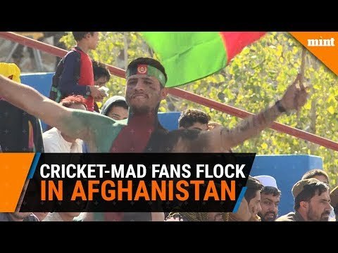 Cricket-mad Afghan fans flock to T20 despite violence