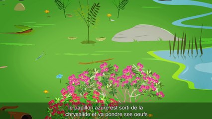 Ça chauffe en montagne ! 4 saisons sous surveillance... (sous-titré)