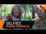 Activists condemn wild animal selfies