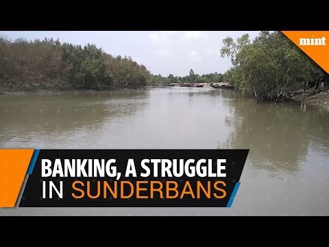 Banking in Sunderbans, a struggle