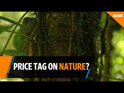 What if there is a price tag on nature?