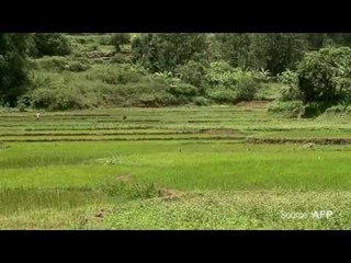 The decade that failed the Indian farmer?