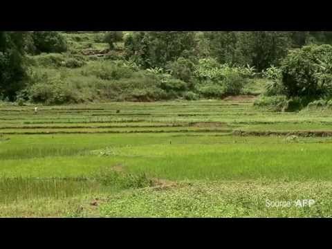 The decade that failed the Indian farmer?