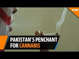 High and dry: Pakistan's penchant for cannabis
