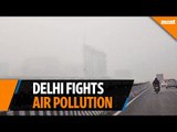 Delhi eyes novel ways to battle pollution