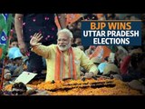 BJP wins 2017 Uttar Pradesh elections