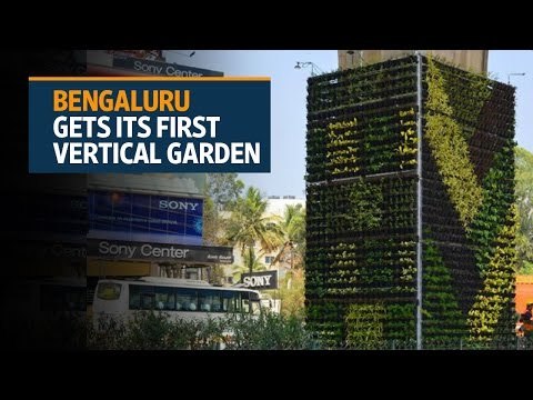 Bengaluru gets its first vertical garden to curb pollution