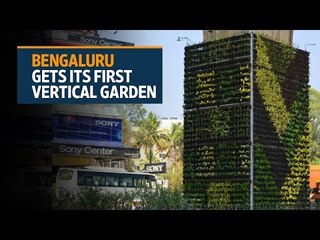 Bengaluru gets its first vertical garden to curb pollution