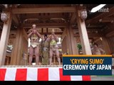 Bawling babies face off in Japan's 'crying sumo'