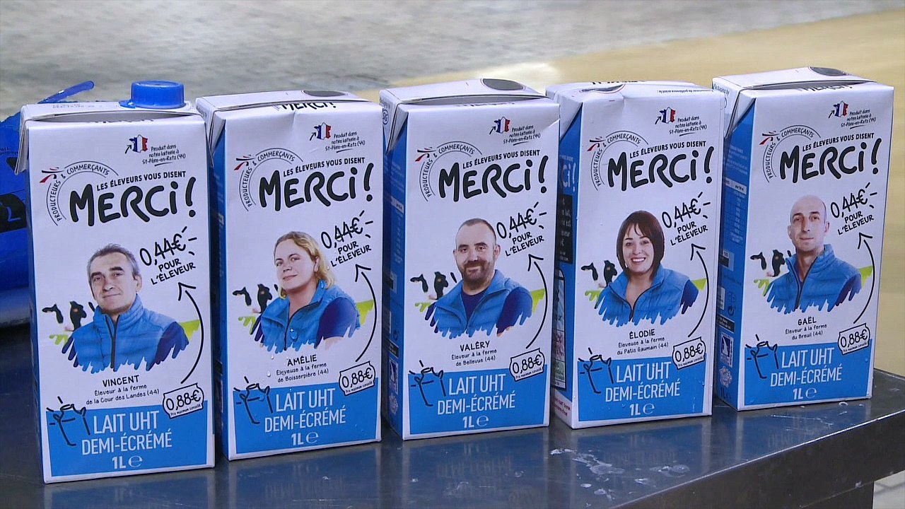 Lait : une nouvelle marque pour soutenir les éleveurs