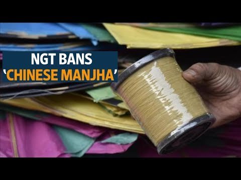 NGT bans ‘Chinese manjha’ for kite-flying