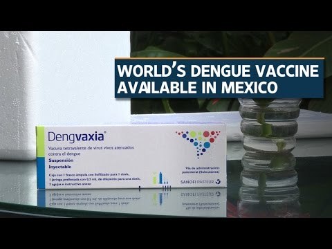 World’s dengue vaccine is now available in Mexico