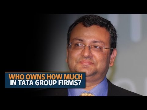 Who owns how much in Tata group firms?