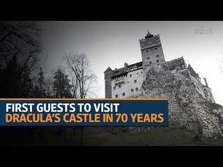 Pack toothbrush and garlic for a night out at Dracula's castle on Halloween
