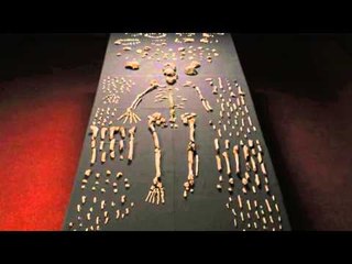 Homo naledi, a new human relative, found in South Africa
