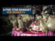 Lopburi, a Thai town, organizes monkey banquet