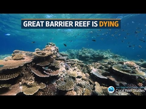 Australia's Great Barrier Reef is dying