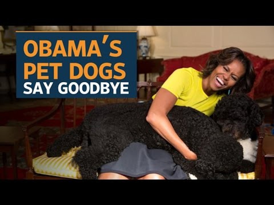 Bo and Sunny, the Obama dogs, say goodbye to the White House