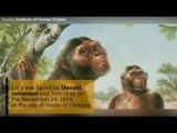 Who is Lucy the Australopithecus? | 5 facts