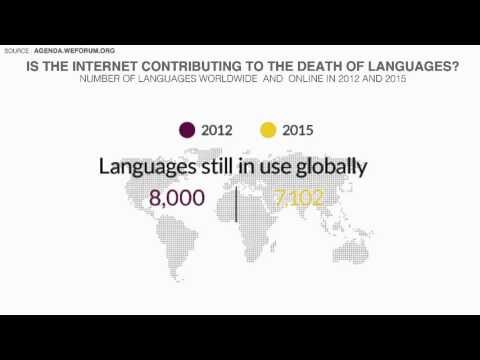 Which languages rule the internet?