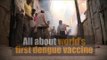 All about world's first dengue vaccine in 60 seconds