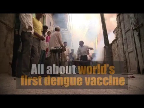 All about world's first dengue vaccine in 60 seconds