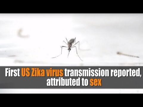 First US Zika virus transmission reported, attributed to sex