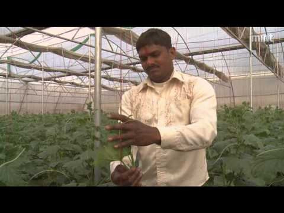 Govt plans to borrow $12.6 billion overseas to fund irrigation