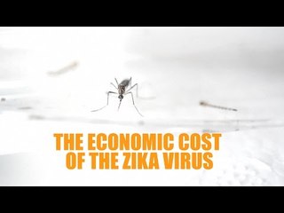 The economic cost of the Zika virus