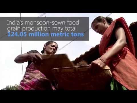 Driest India Monsoon in Six Years Hurts Crops