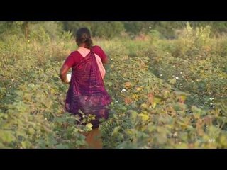 Tracing MGNREGA’s decline